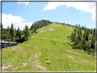 foto Panorama dal Monte Verena